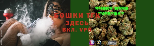 крисы Алзамай