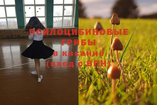 МДМА Алексеевка