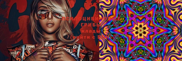 соль ск Алексин