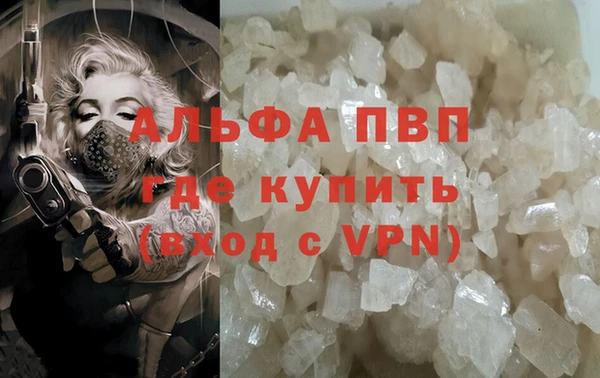 крисы Алзамай