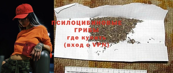 соль ск Алексин