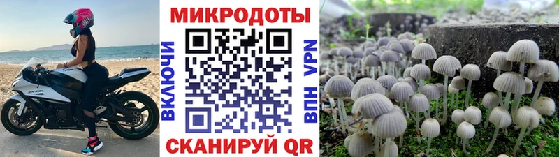 цены наркотик  Брянск  Псилоцибиновые грибы Magic Shrooms 