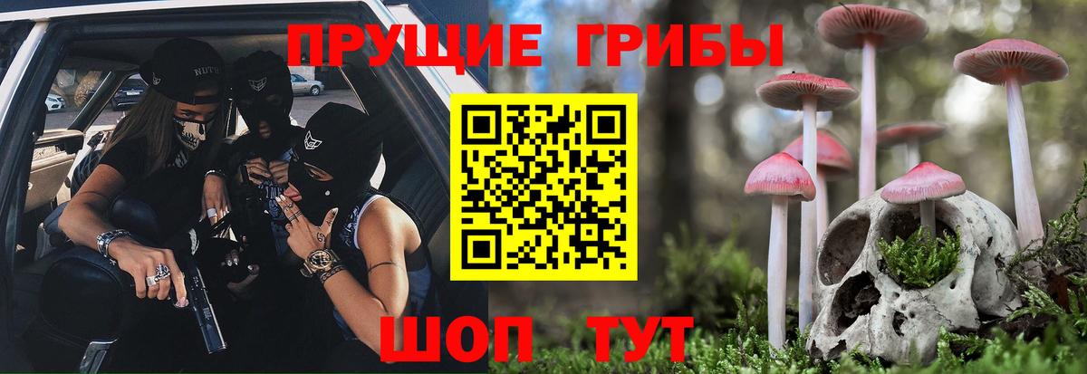 Галлюциногенные грибы Psilocybe  Псилоцибиновые грибы ЛСД  Брянск  Вход с VPN 